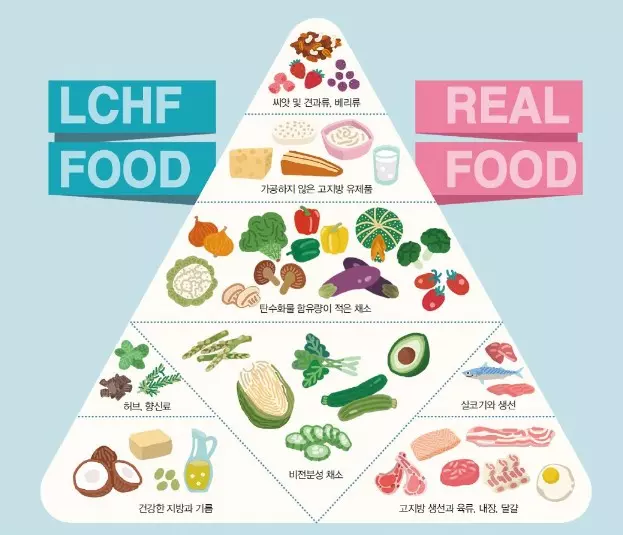 저탄고지 식단에 좋은 음식을 알려주는 피라미드 모양의 표